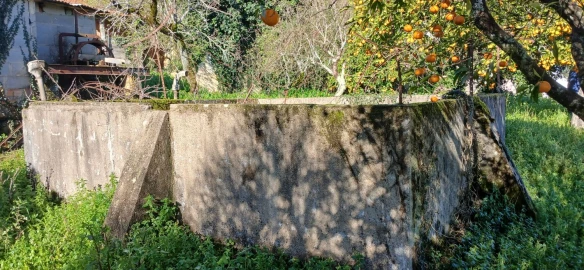 Quinta T5 para Venda em Chãos