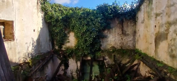 Quinta T5 para Venda em Chãos