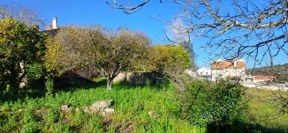 Quinta T5 para Venda em Chãos