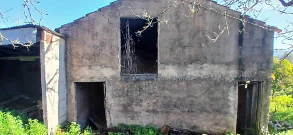 Quinta T5 para Venda em Chãos