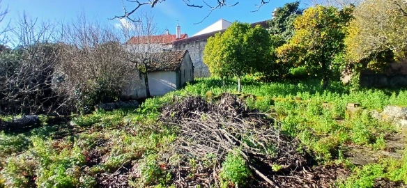 Quinta T5 para Venda em Chãos