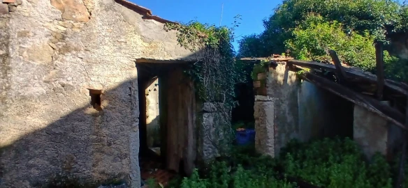 Quinta T5 para Venda em Chãos