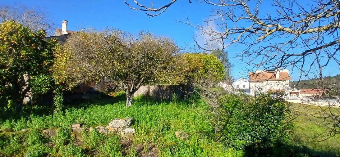 Quinta T5 para Venda em Chãos Foto 21