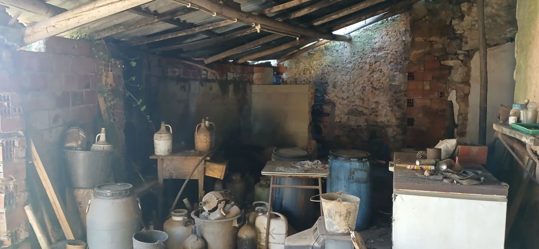 Quinta T5 para Venda em Chãos Foto 13