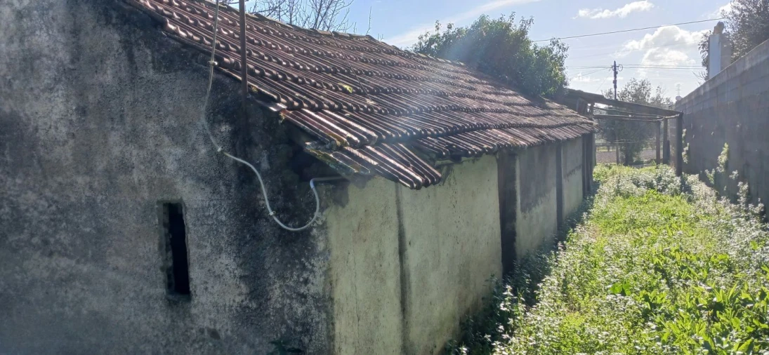 Quinta T5 para Venda em Chãos Foto 32