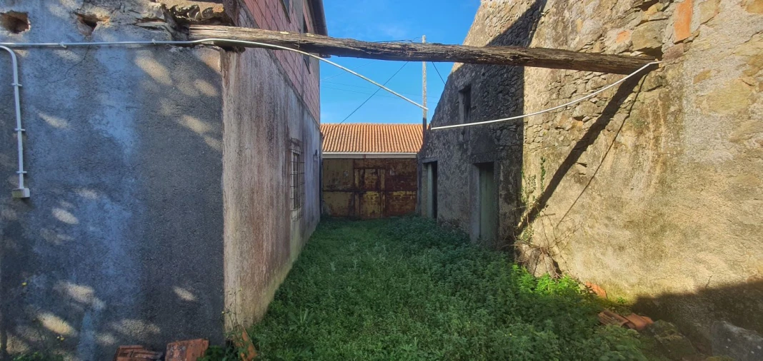 Quinta T5 para Venda em Chãos Foto 38