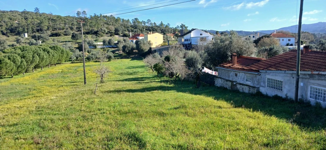 Quinta T5 para Venda em Chãos Foto 26