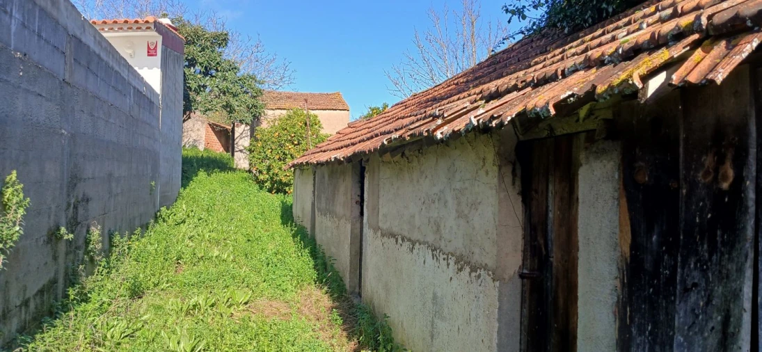 Quinta T5 para Venda em Chãos Foto 34