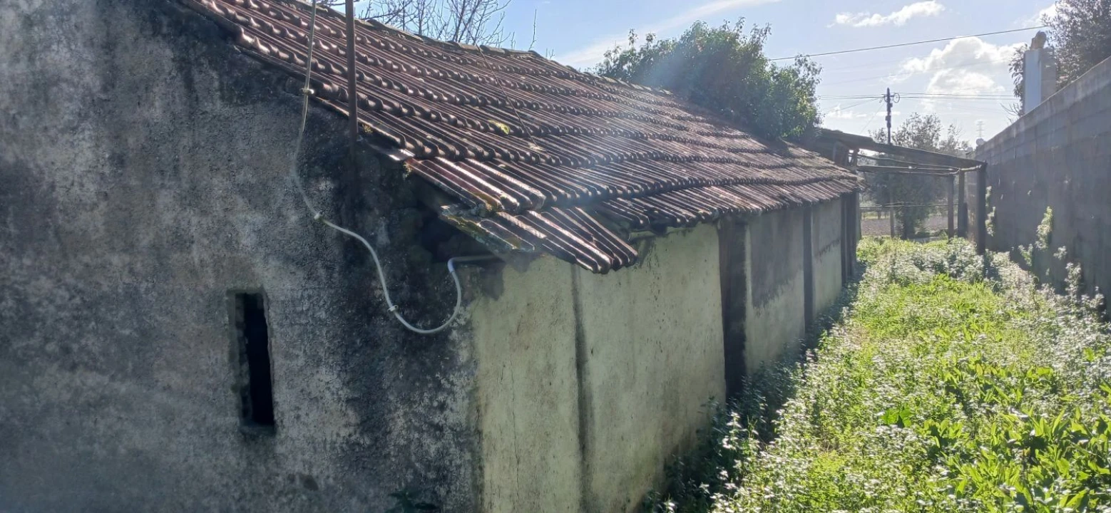 Quinta T5 para Venda em Chãos Foto 32