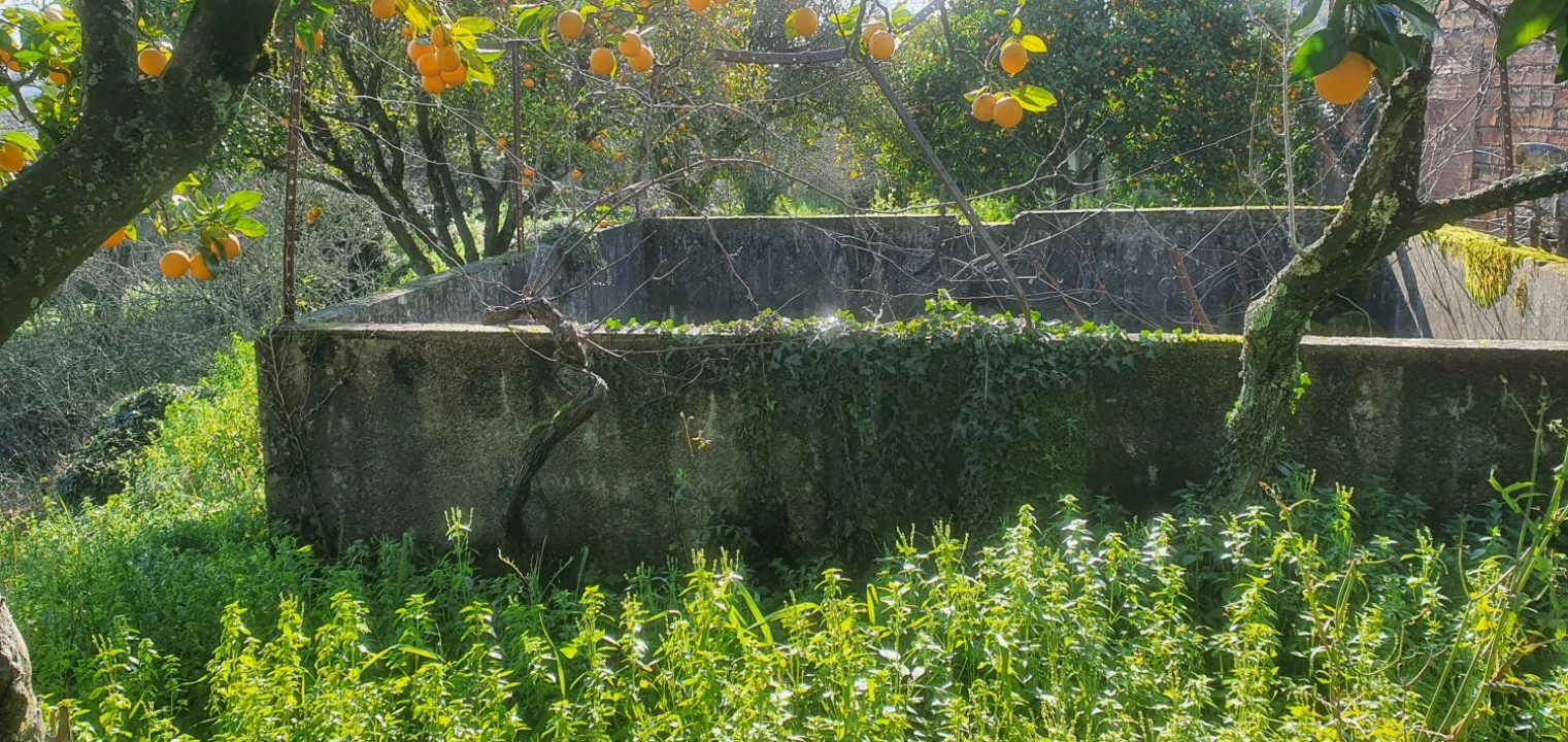 Quinta T5 para Venda em Chãos Foto 40
