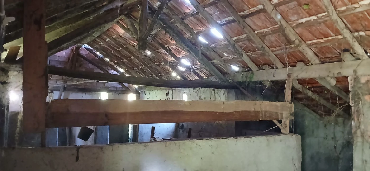 Quinta T5 para Venda em Chãos Foto 35