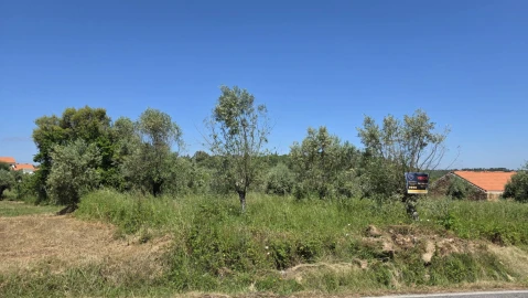 Terreno para Venda em Casais e Alviobeira