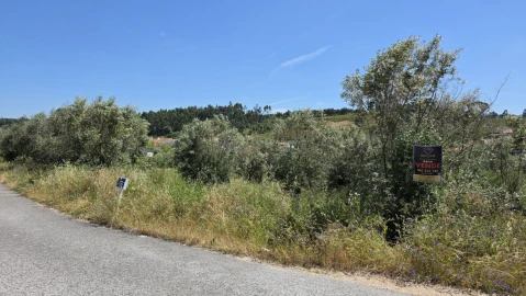 Terreno para Venda em Casais e Alviobeira