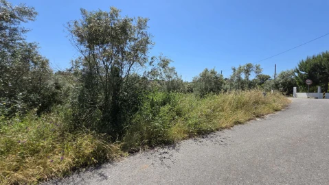 Terreno para Venda em Casais e Alviobeira