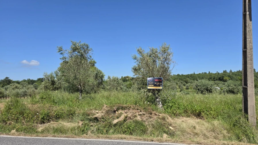 Terreno para Venda em Casais e Alviobeira Foto 7