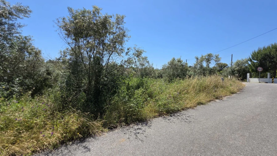 Terreno para Venda em Casais e Alviobeira Foto 2