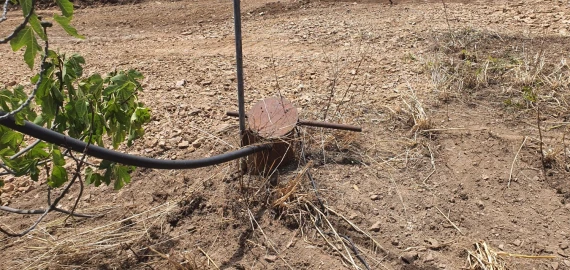 Moradia T2 para Venda em Carvoeiro