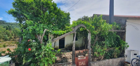 Moradia T2 para Venda em Carvoeiro