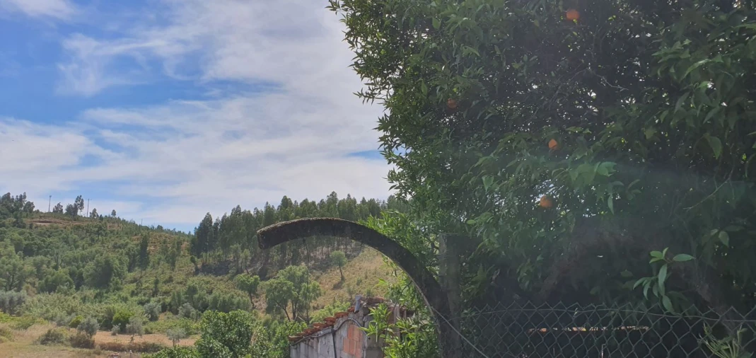 Moradia T2 para Venda em Carvoeiro Foto 25