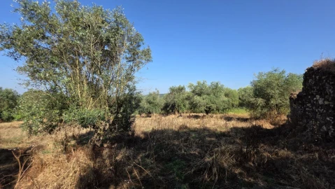 Moradia T2 para Venda em Olalhas