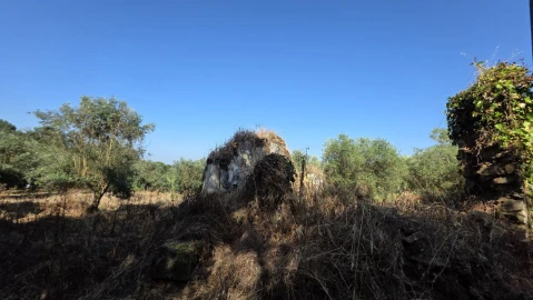 Moradia T2 para Venda em Olalhas