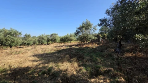 Moradia T2 para Venda em Olalhas