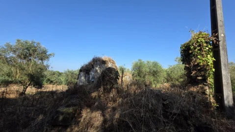 Moradia T2 para Venda em Olalhas