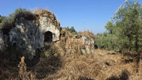 Moradia T2 para Venda em Olalhas