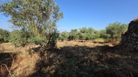 Moradia T2 para Venda em Olalhas