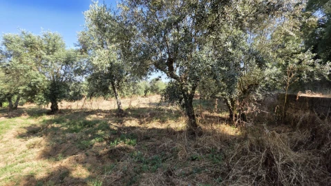 Moradia T2 para Venda em Olalhas