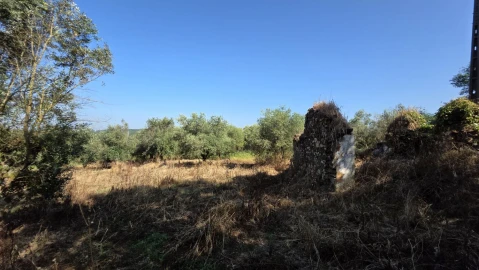 Moradia T2 para Venda em Olalhas