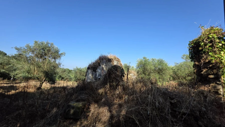 Moradia T2 para Venda em Olalhas Foto 8