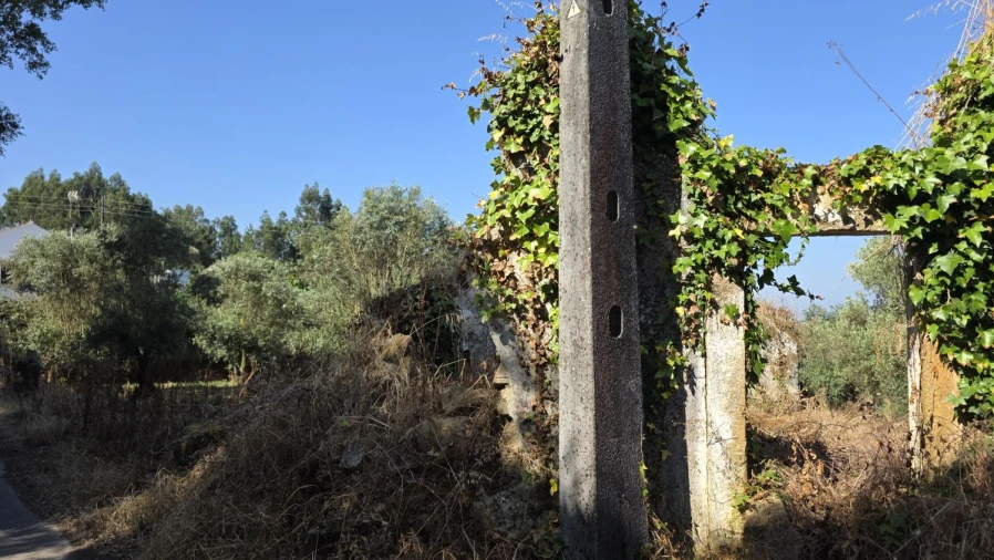 Moradia T2 para Venda em Olalhas Foto 7