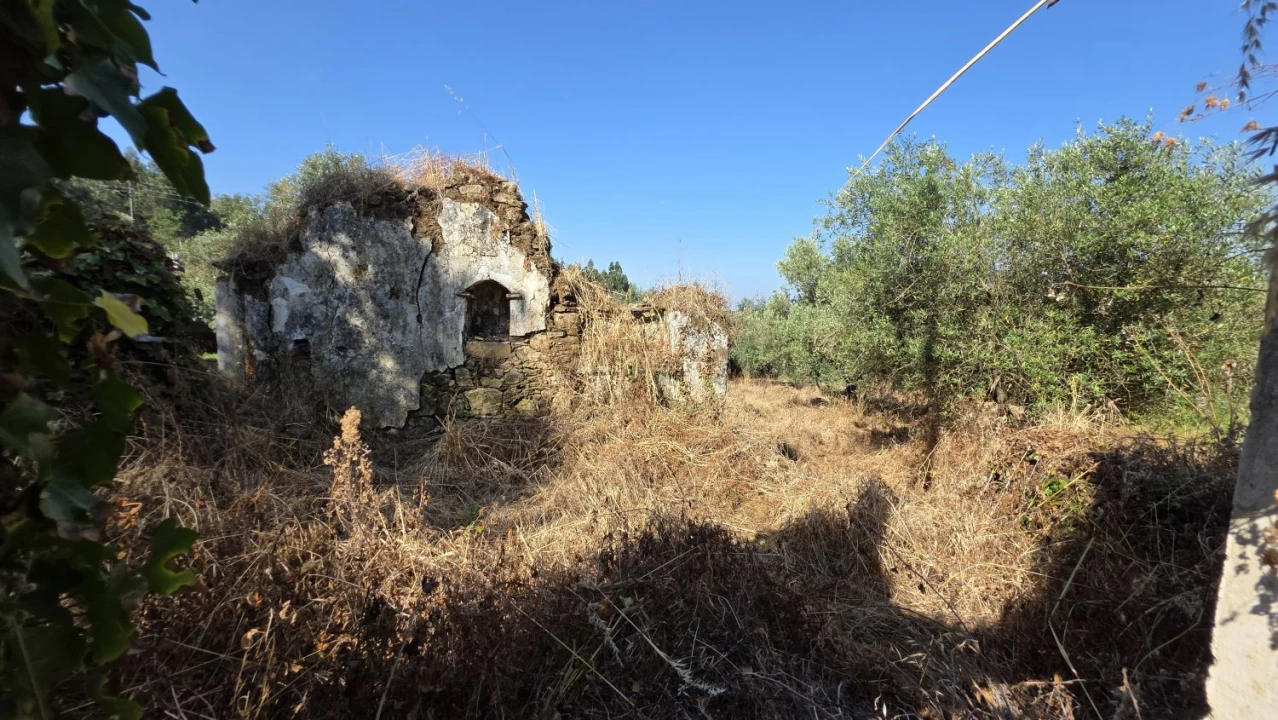 Moradia T2 para Venda em Olalhas Foto 1