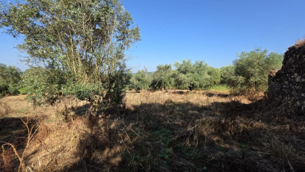 Moradia T2 para Venda em Olalhas Foto 25