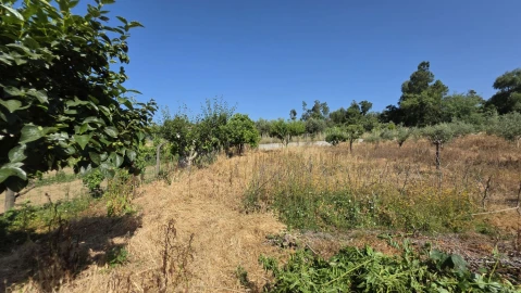 Moradia T4 para Venda em Olalhas