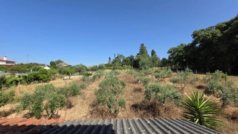 Moradia T4 para Venda em Olalhas