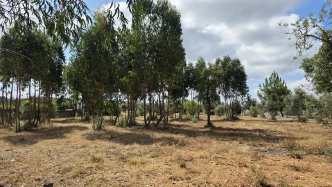 Moradia T3 para Venda em Martinchel