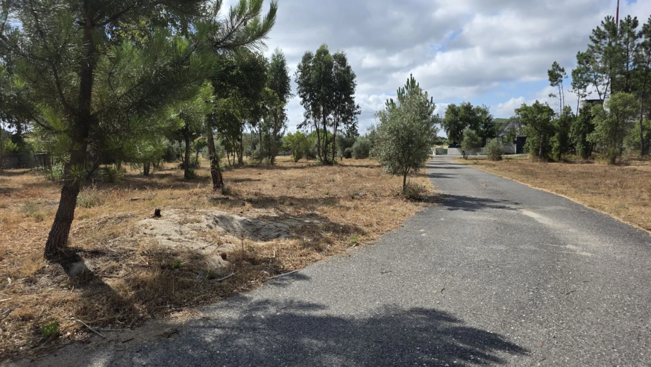 Moradia T3 para Venda em Martinchel Foto 49