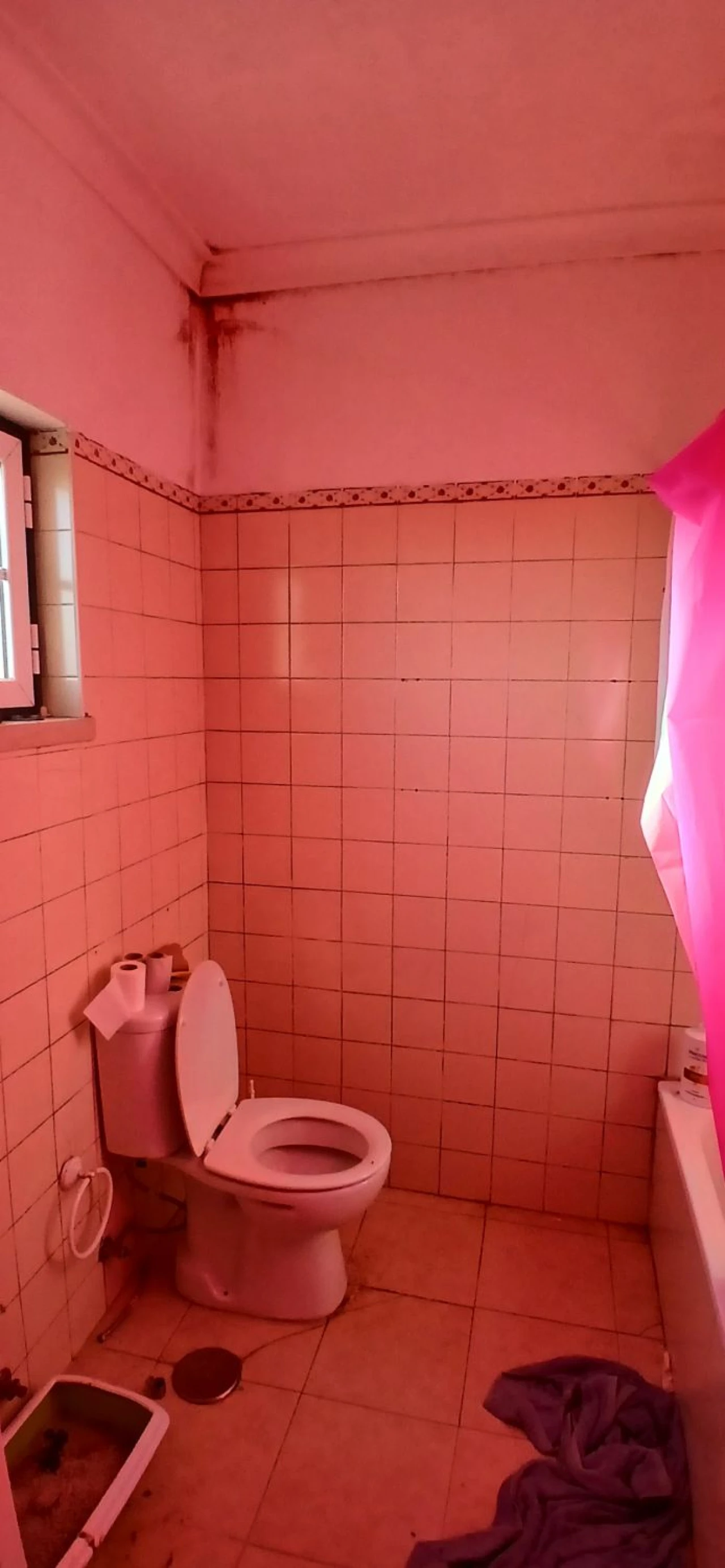 Moradia T4 para Venda em Serra e Junceira Foto 10