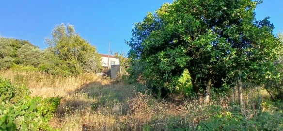 Moradia T4 para Venda em Serra e Junceira