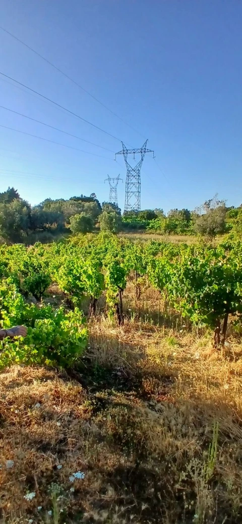 Moradia T4 para Venda em Serra e Junceira
