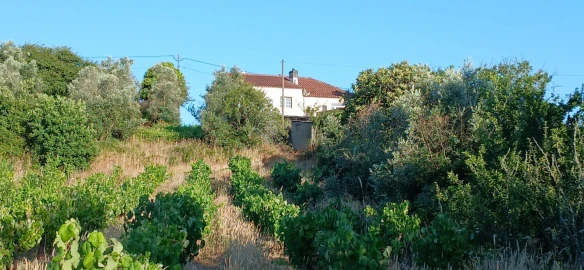 Moradia T4 para Venda em Serra e Junceira