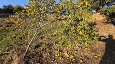 Moradia T3 para Venda em Ferreira do Zezere