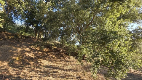 Moradia T3 para Venda em Ferreira do Zezere