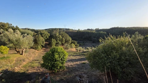 Moradia T3 para Venda em Ferreira do Zezere