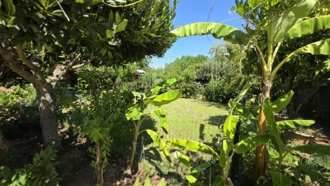 Moradia T7 para Venda em Serra e Junceira