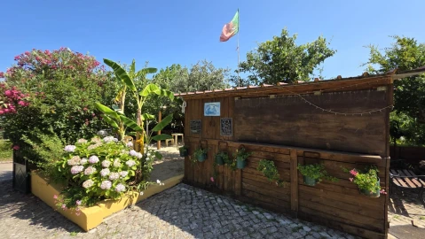 Moradia T7 para Venda em Serra e Junceira