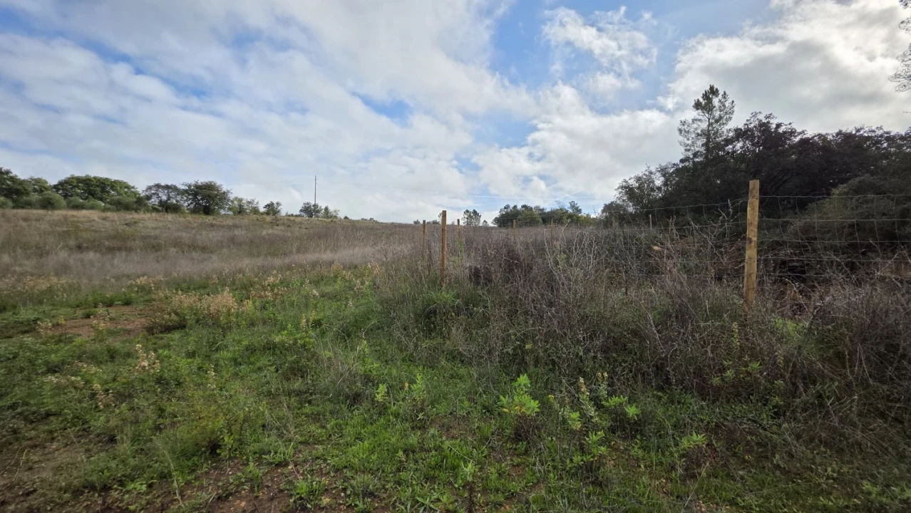 Terreno para Venda em Areias e Pias Foto 6