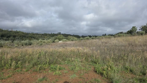 Terreno para Venda em Areias e Pias